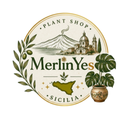 MerlinYes