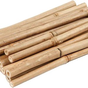 10 bamboo cane sticks (30 cm/14 inches) *garden utilities