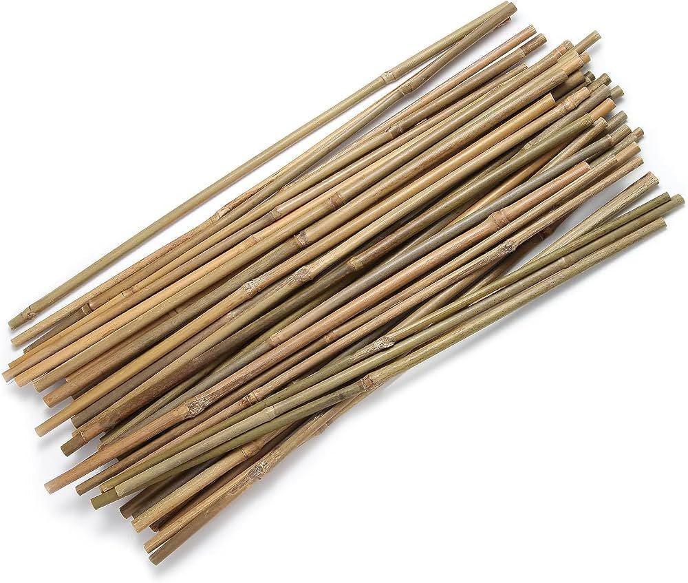10 bamboo cane sticks (1 m/40 inches) *garden utilities/crafts