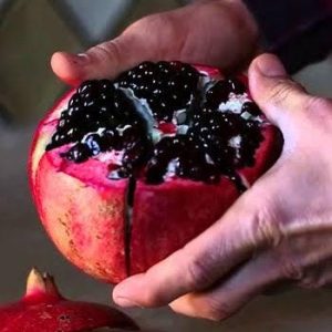 1 plant /tree (approx 1m) - Pomegranate (wonderful)