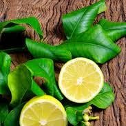 100Gram - Lemon leaves (dried on order) *Herb/Medicinal