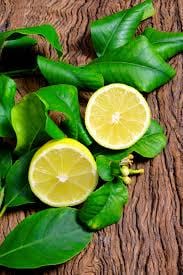 100Gram - Lemon leaves (dried on order) *Herb/Medicinal