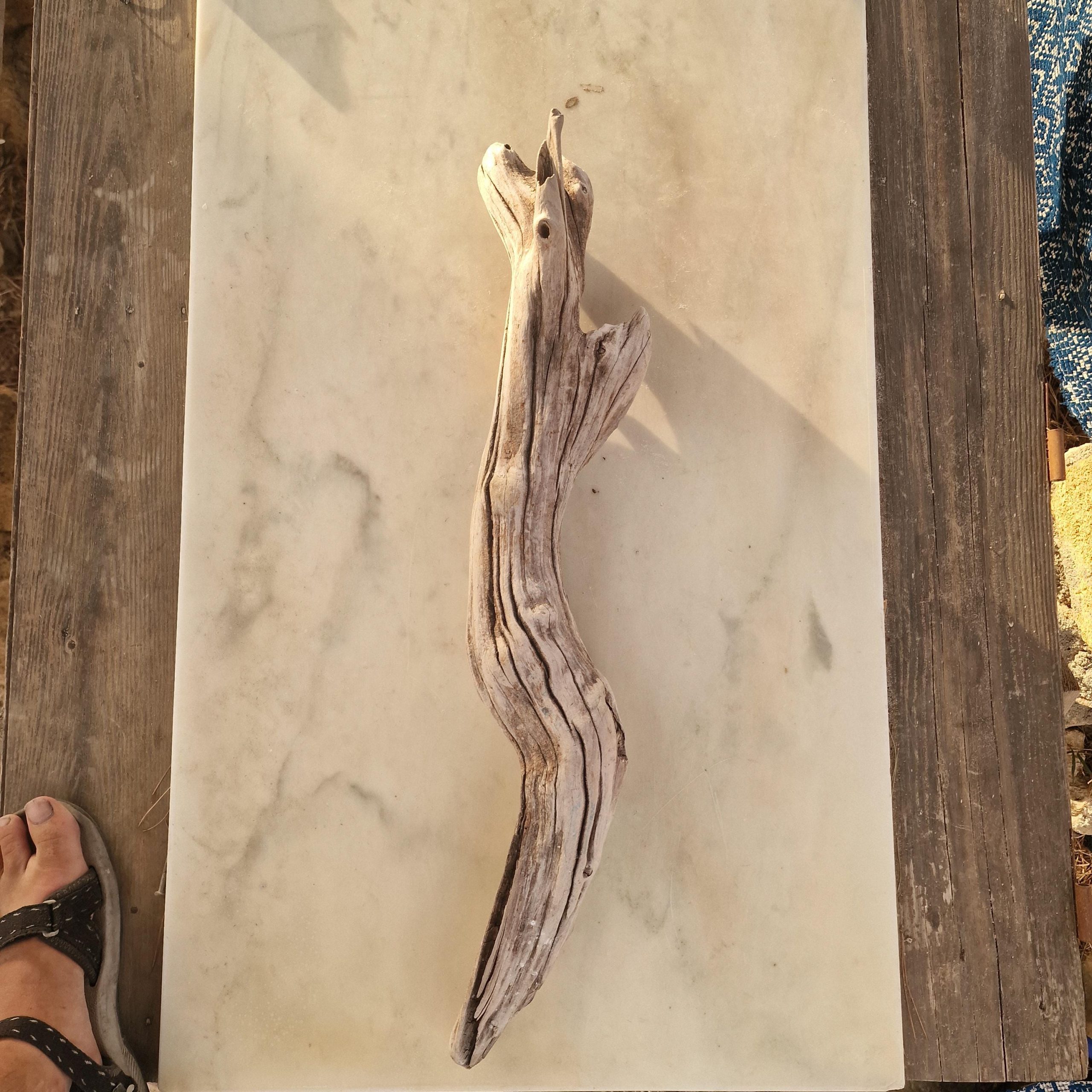 Large Olive Driftwood Branch (65 cm), Rustic Coastal Decor, Large Decorative Wooden Stick, Beach Wood