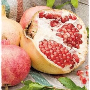 1 plant /tree (approx 1m) - Pomegranate (d cavallo)