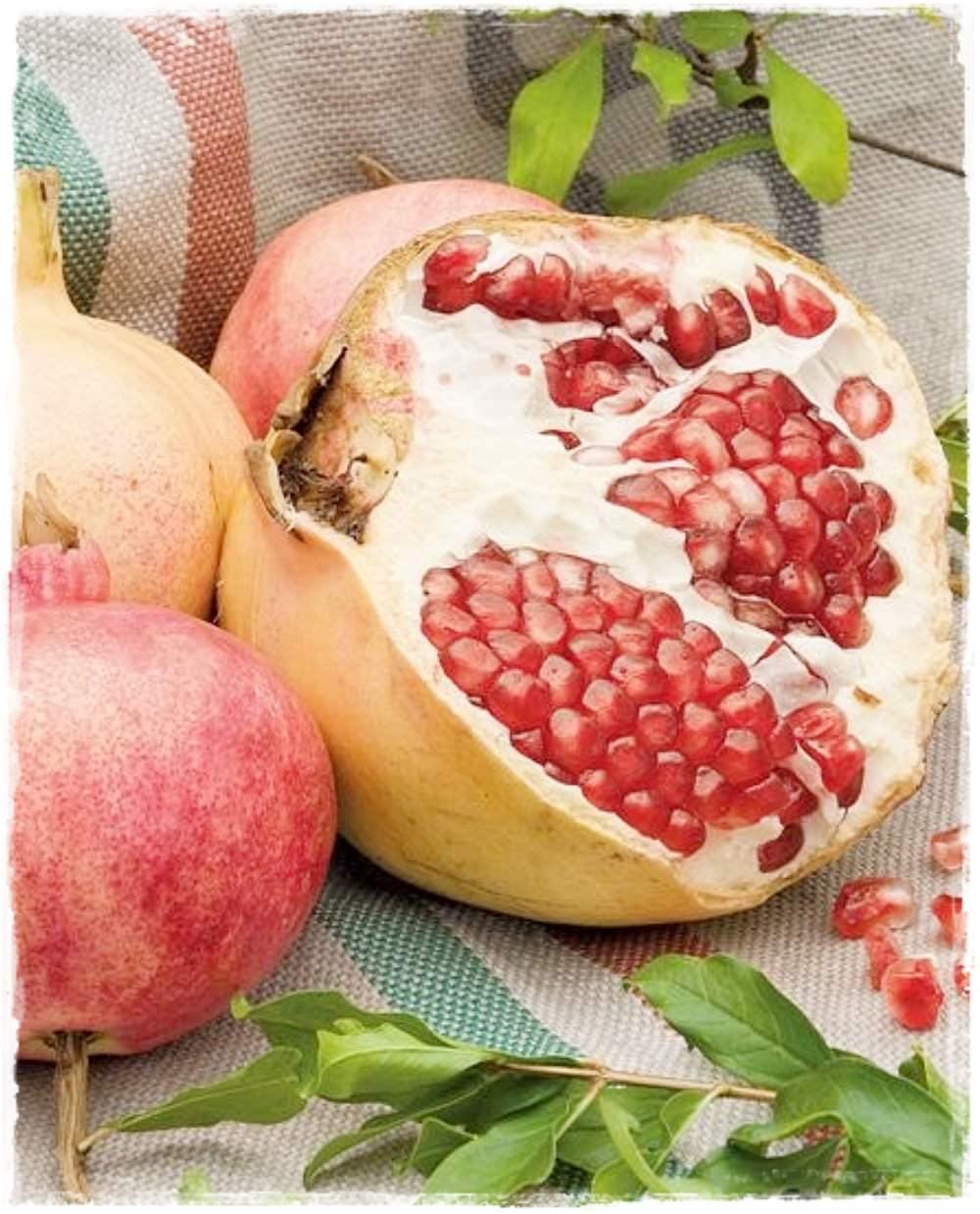 1 plant /tree (approx 1m) - Pomegranate (d cavallo)
