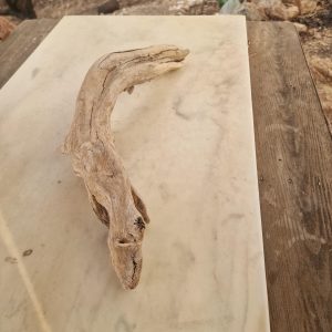 Large Driftwood Branch (52 cm), Rustic Coastal Decor, Large Decorative Wooden Stick, Beach Wood