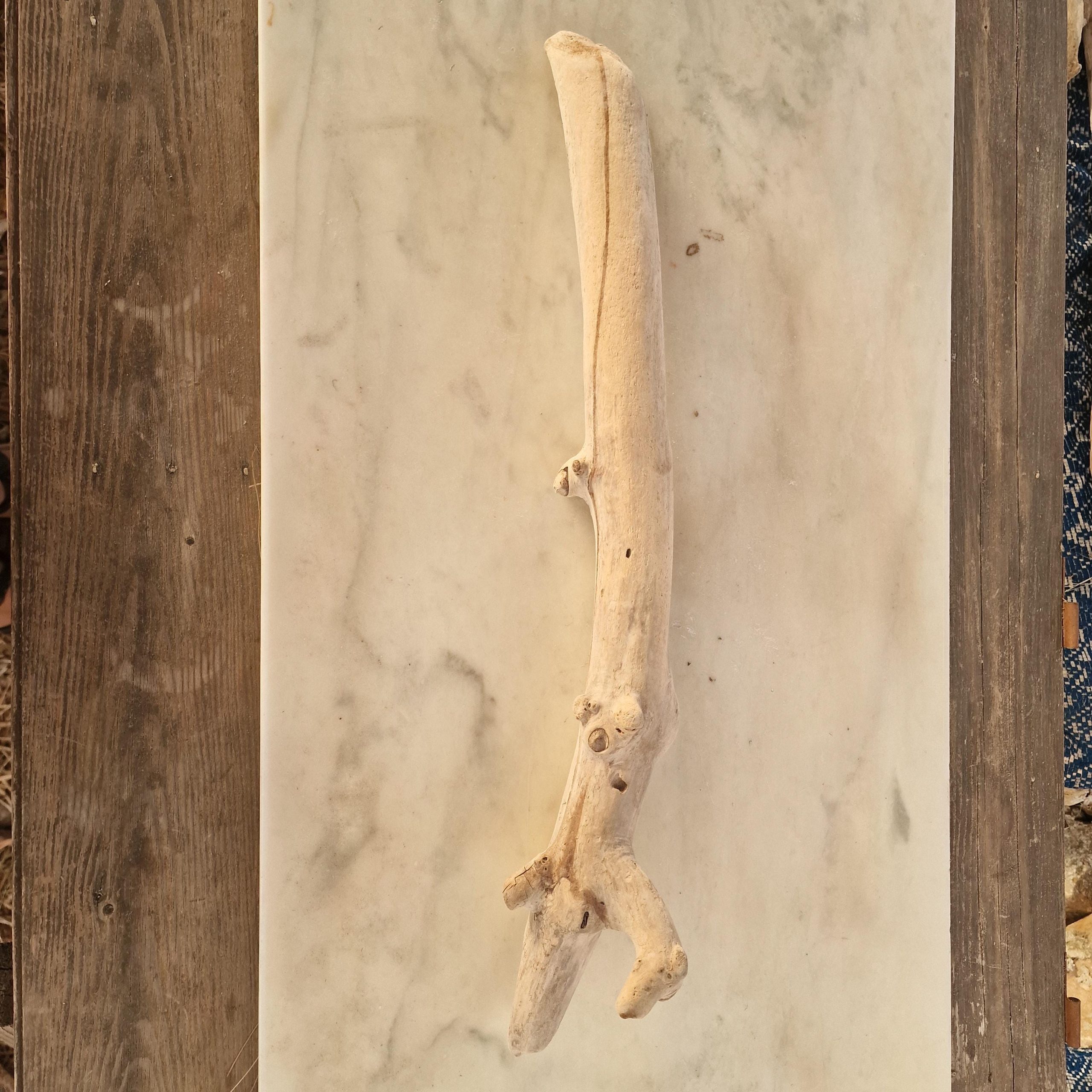 Large Driftwood Branch (63 cm), Rustic Coastal Decor, Large Decorative Wooden Stick, Beach Wood