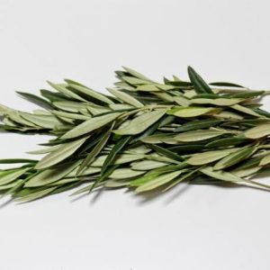 100Gram - Olive leaves (dried on order) *Medicinal