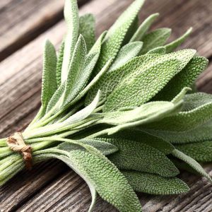 100Gram - Salvia officinalis - sage leaves (dried on order) *Herb/Medicinal